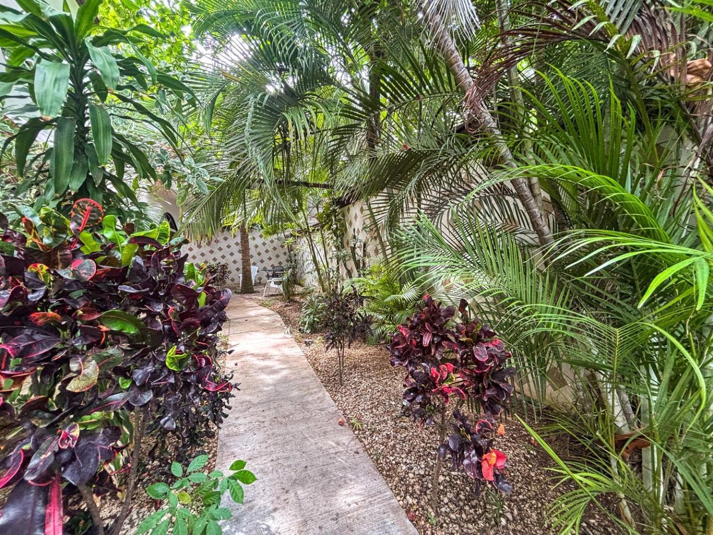 Spacious King Near & Quinta Apartment *
