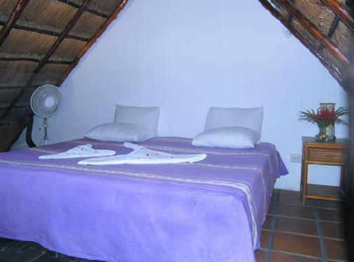 Hotel La Rana Cansada Playa del Carmen