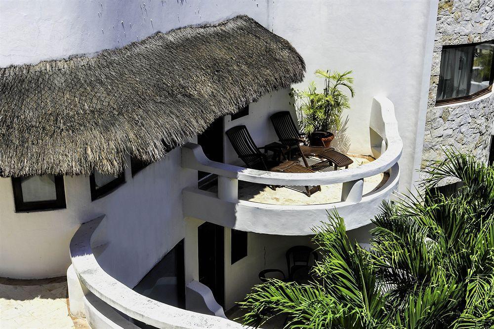 Blue Parrot On 5th Avenue Playa del Carmen