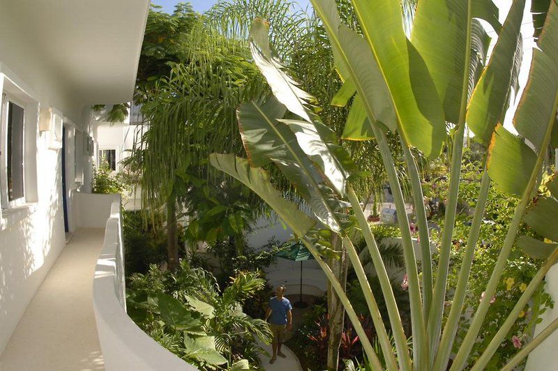 Aqualuna Boutique By Sunrise (adults Only) 3*