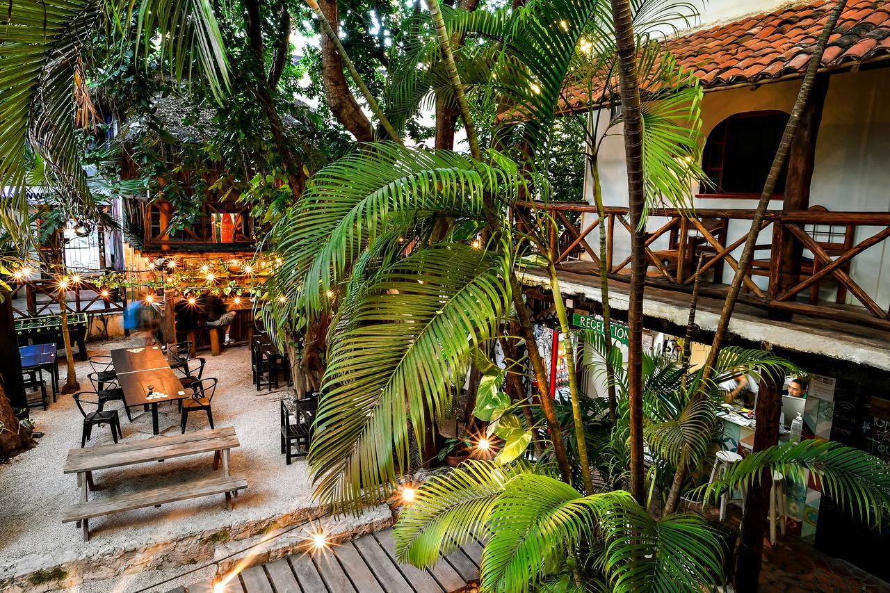 Hostal Mx 5Th Avenue Hostel *