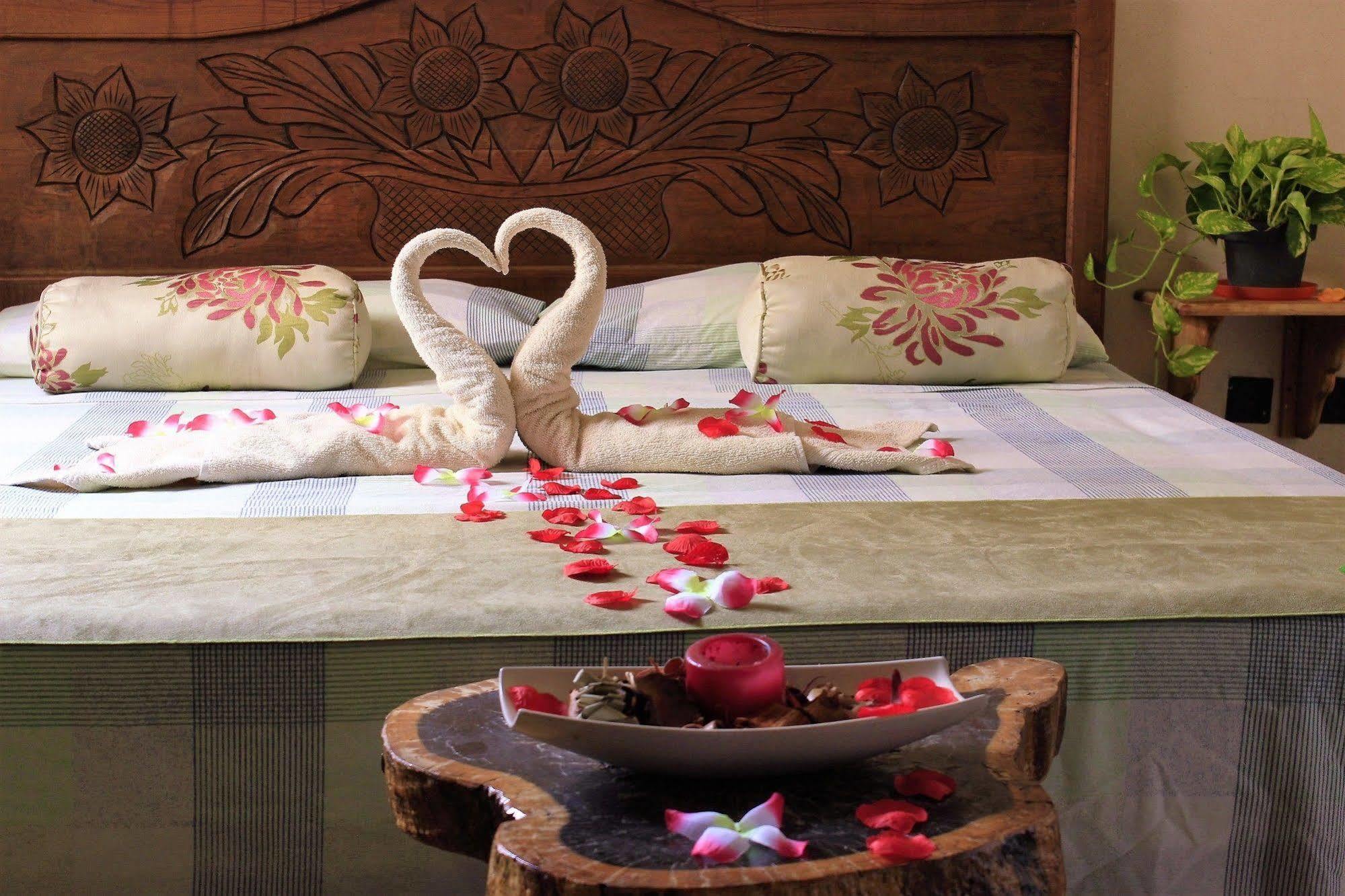 Maya Vacanze Playa Natural Hotel 2*