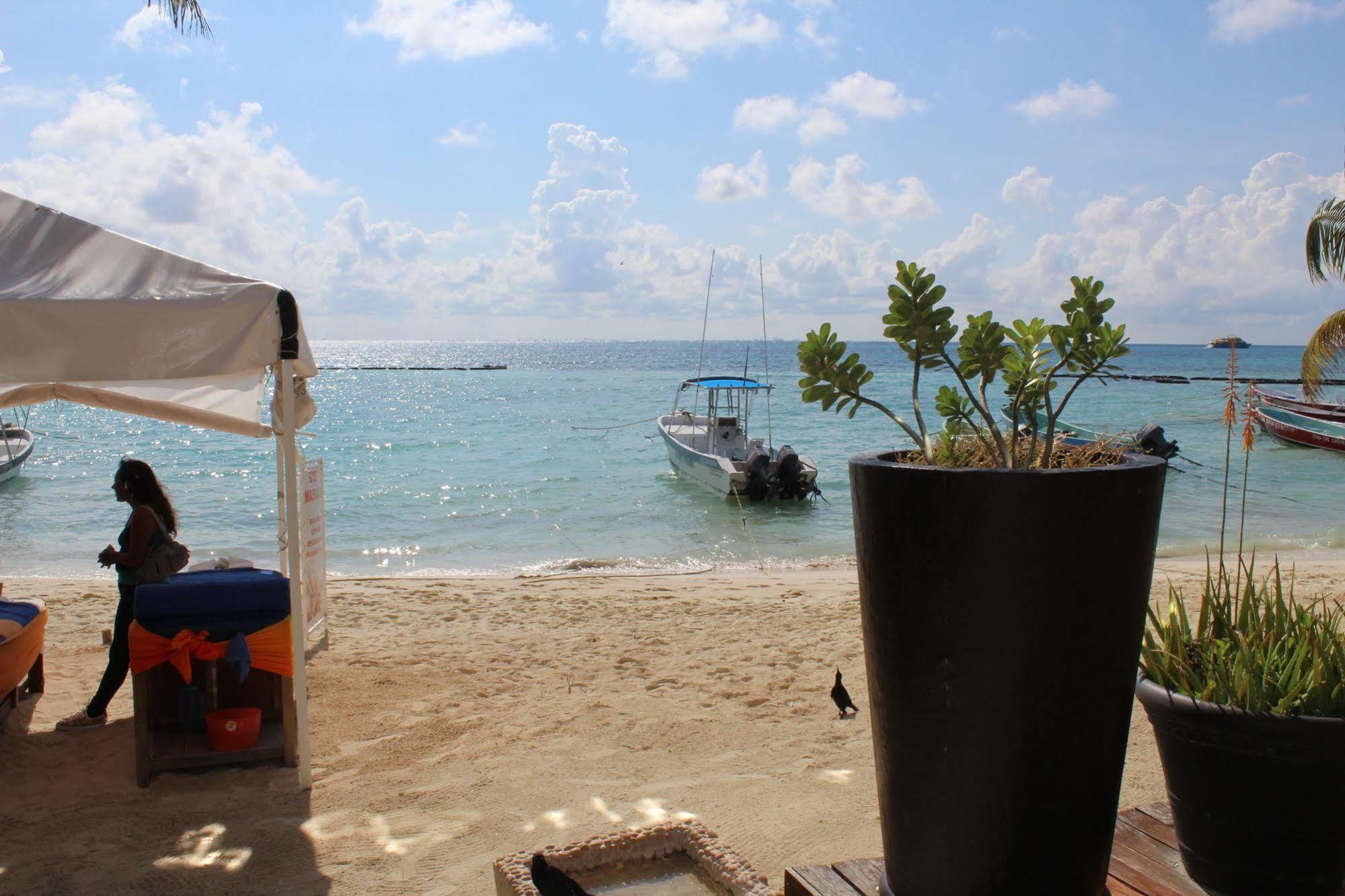 Koox La Mar Condhotel 4* Playa del Carmen