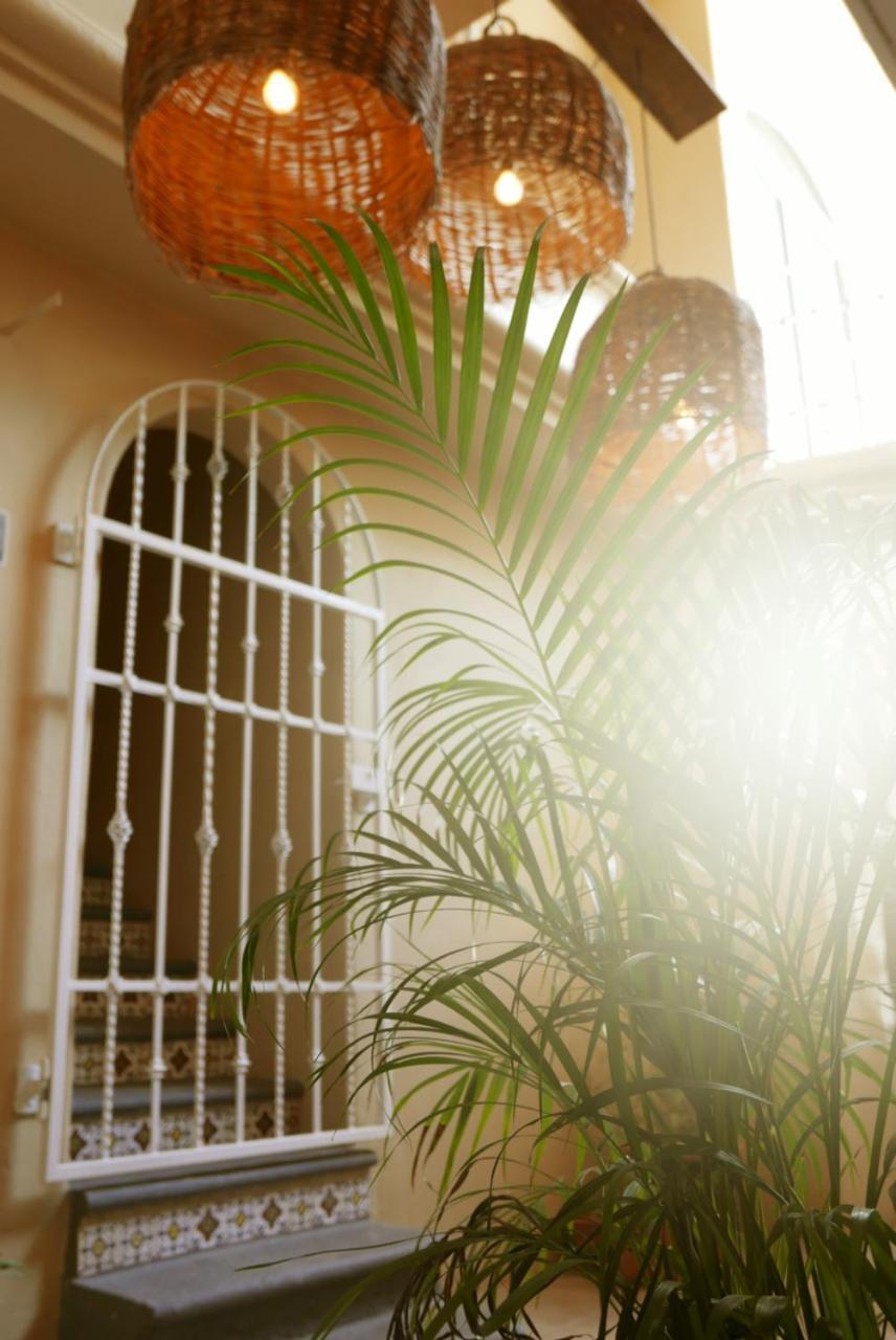Hostal Tequilita Hostel&suites