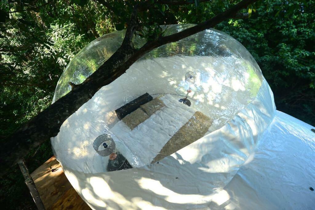Itaka Glamping And - Khách sạn *
