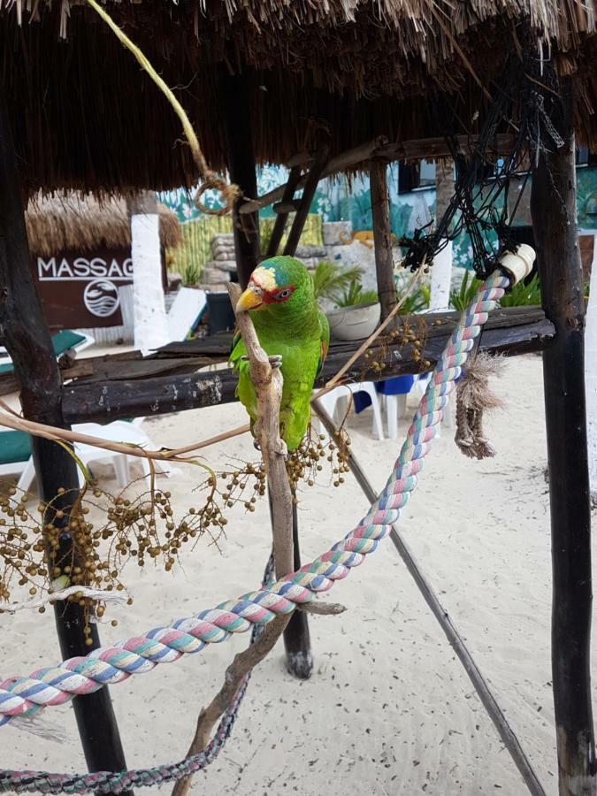 Hotel Costa Del Mar Playa del Carmen