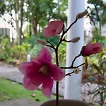 Residencial Bali Casa Mariposa