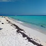 Departamento A Unos Pasos De La Playa