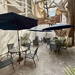 Casa Tortuga 5Th Ave