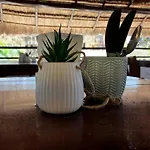 Hotel Aria Quinta Avenida & Rooftop Playa Del Carmen