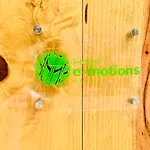 Hotel E-Motions & Beach Club