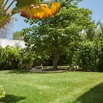 Beautiful Private Villa For 16 Pax With Garden, Bbq And Pool, Playa Del Carmen