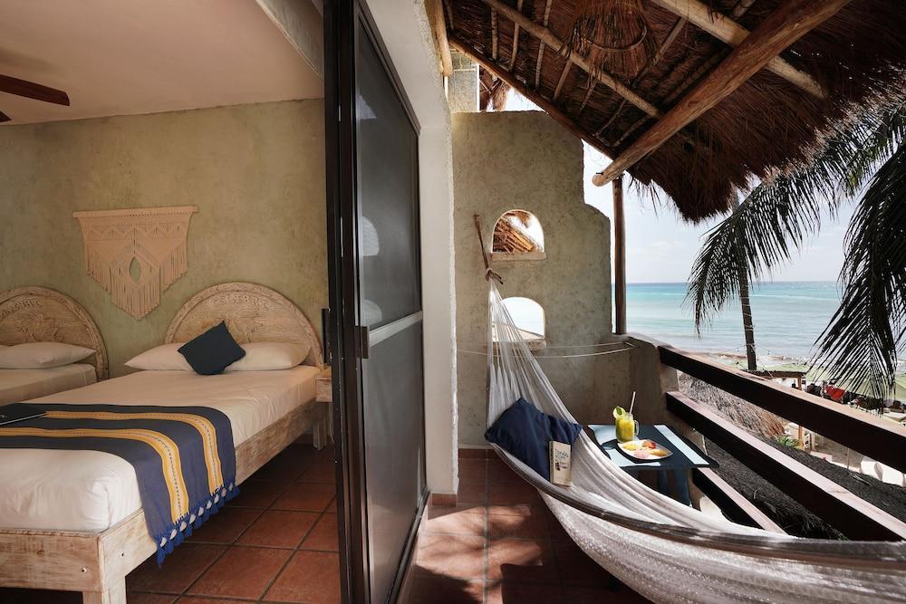 Casa Colibri Khách sạn