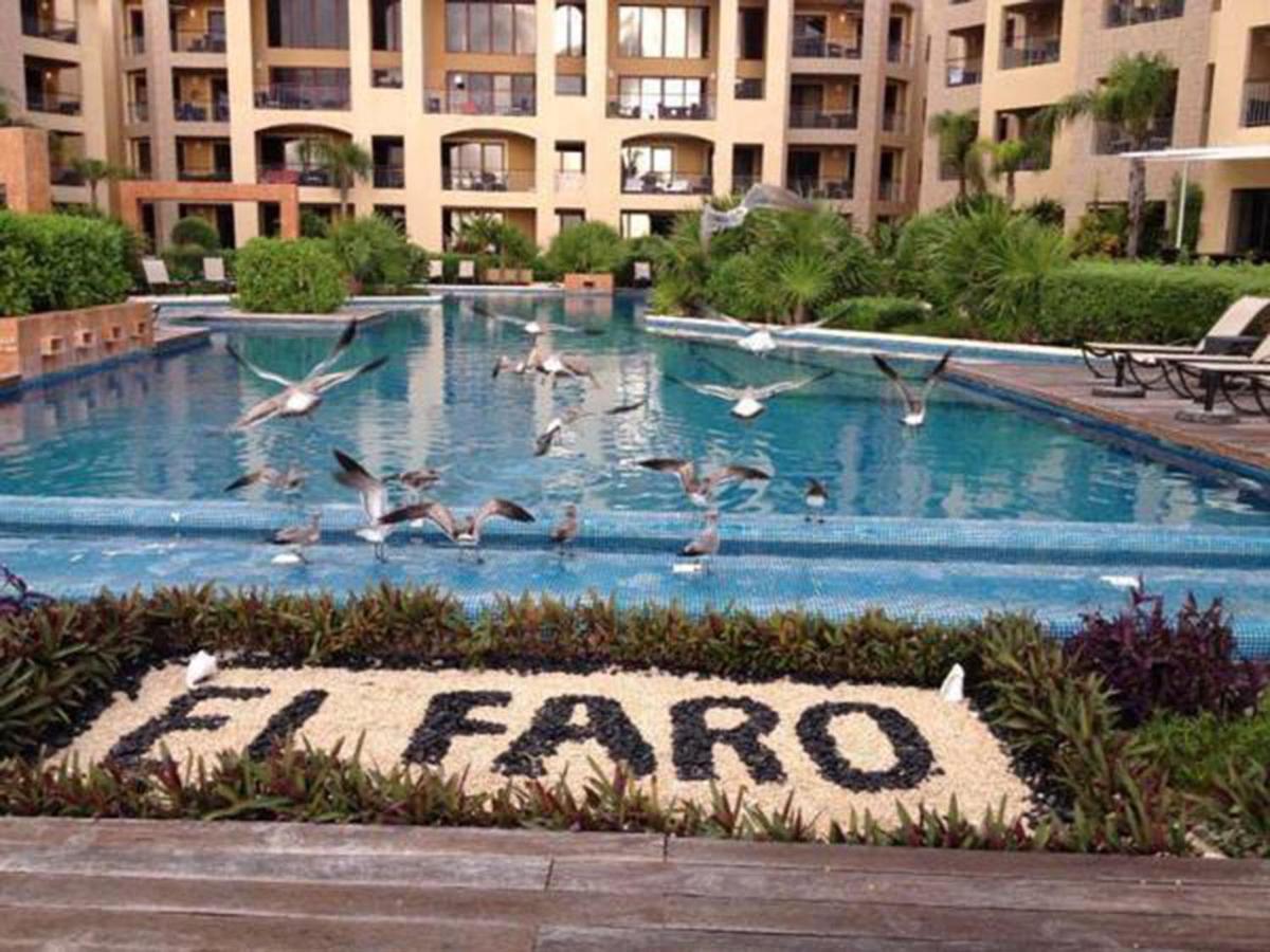 El Faro 305 Reef Apartment