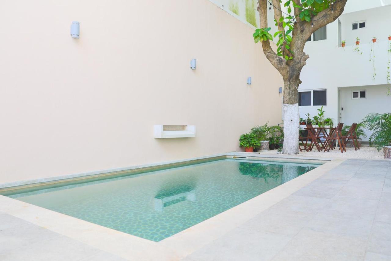 Almond Playa del Carmen