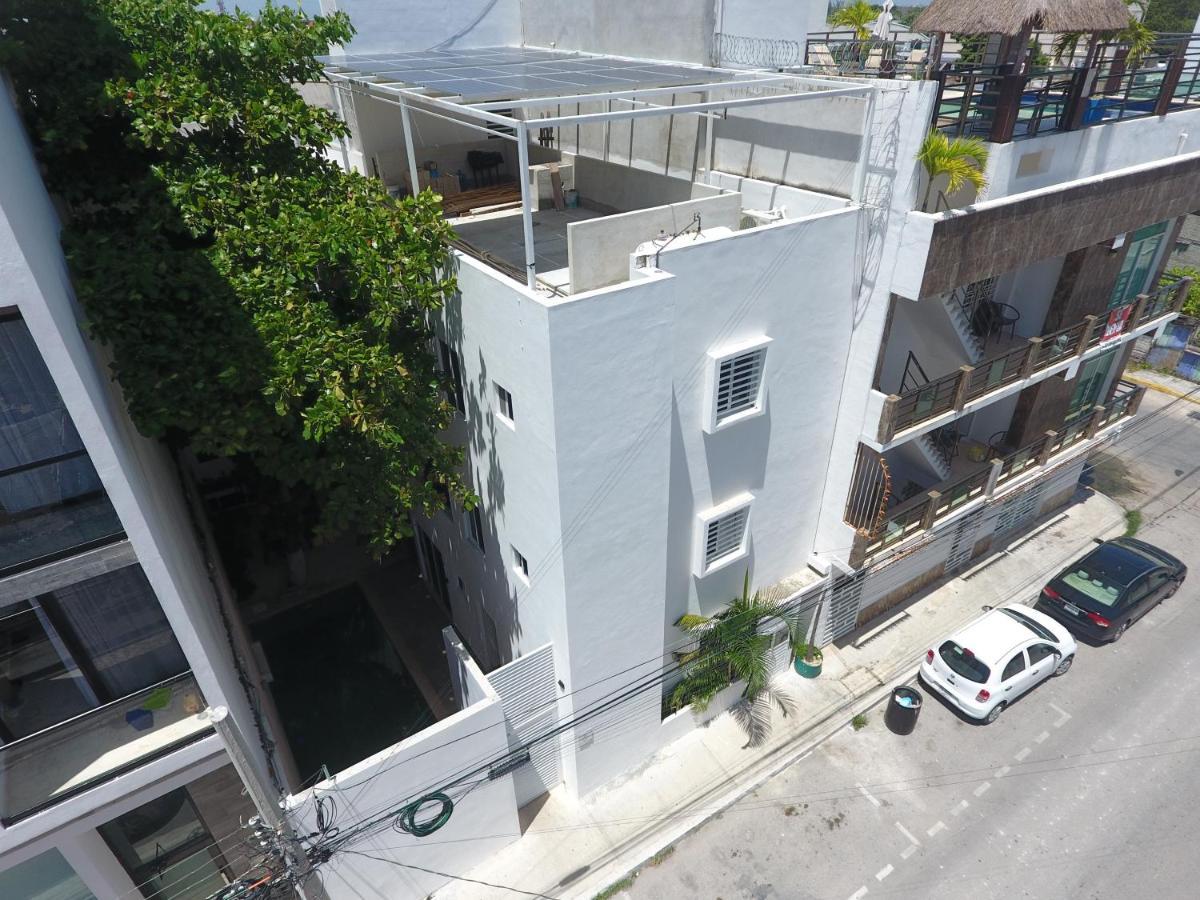 Almond Apartment