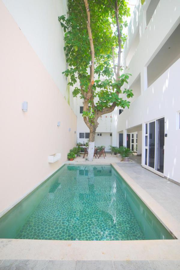 Almond Apartment *