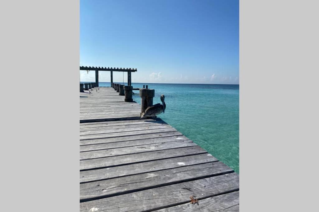 Nhà nghỉ Blue Angel 4 Playa del Carmen