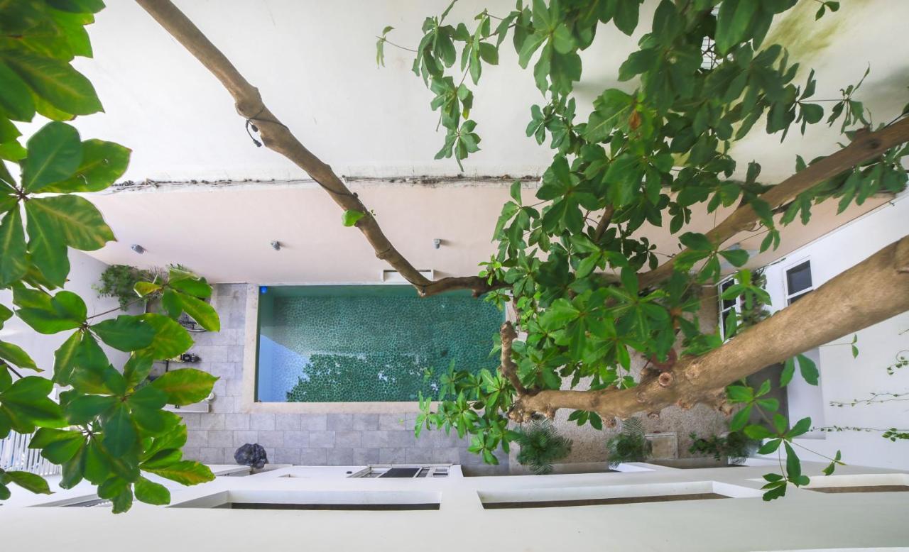 Almond Apartment *