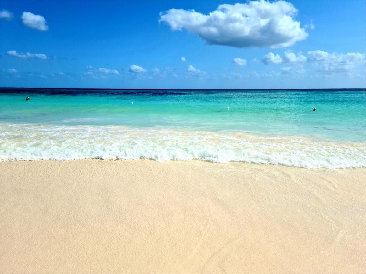 Ubicacion Inmejorable A Pasos De Playacar Y 5ta Av * Playa del Carmen