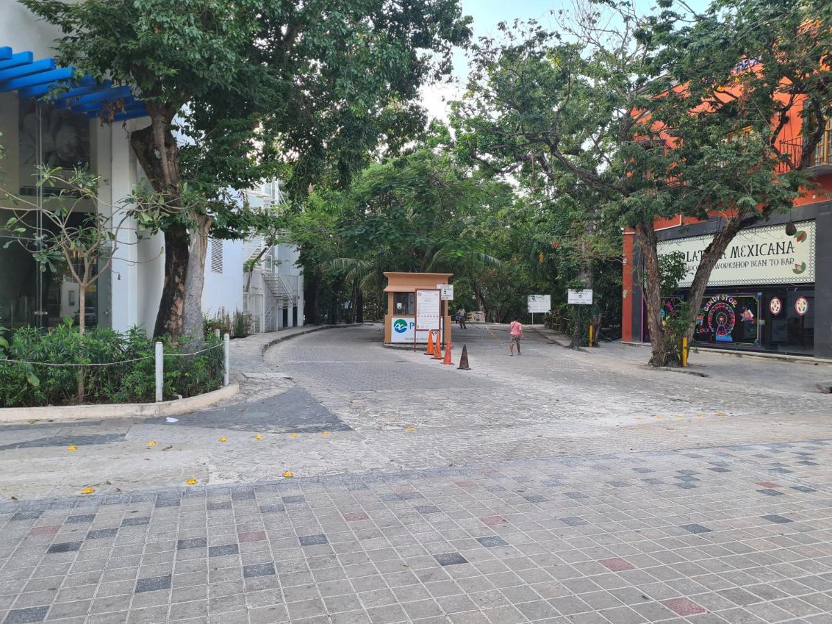 Ubicacion Inmejorable A Pasos De Playacar Y 5ta Av Apartment