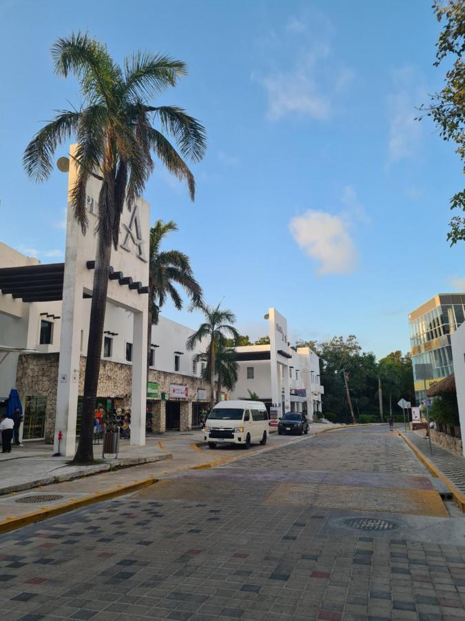 Ubicacion Inmejorable A Pasos De Playacar Y 5ta Av