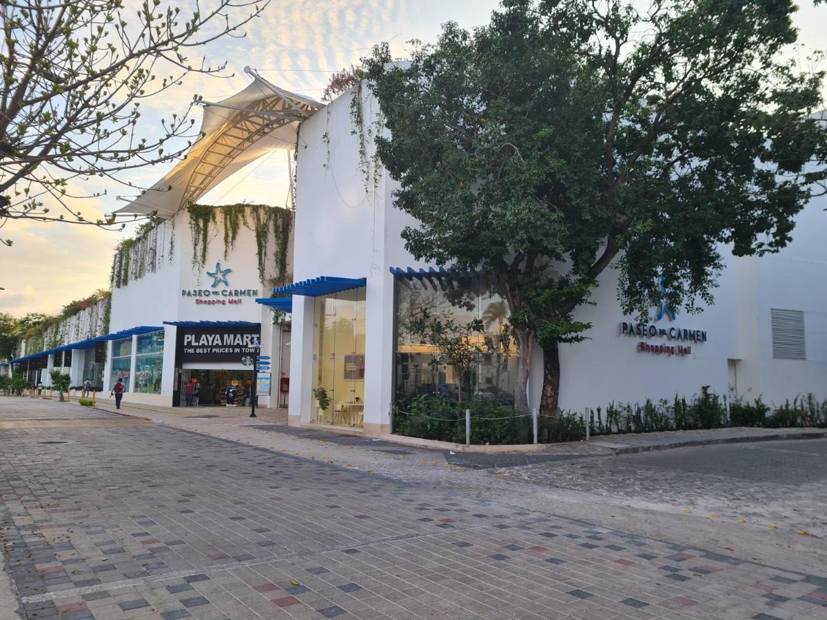 Ubicacion Inmejorable A Pasos De Playacar Y 5ta Av Apartment *