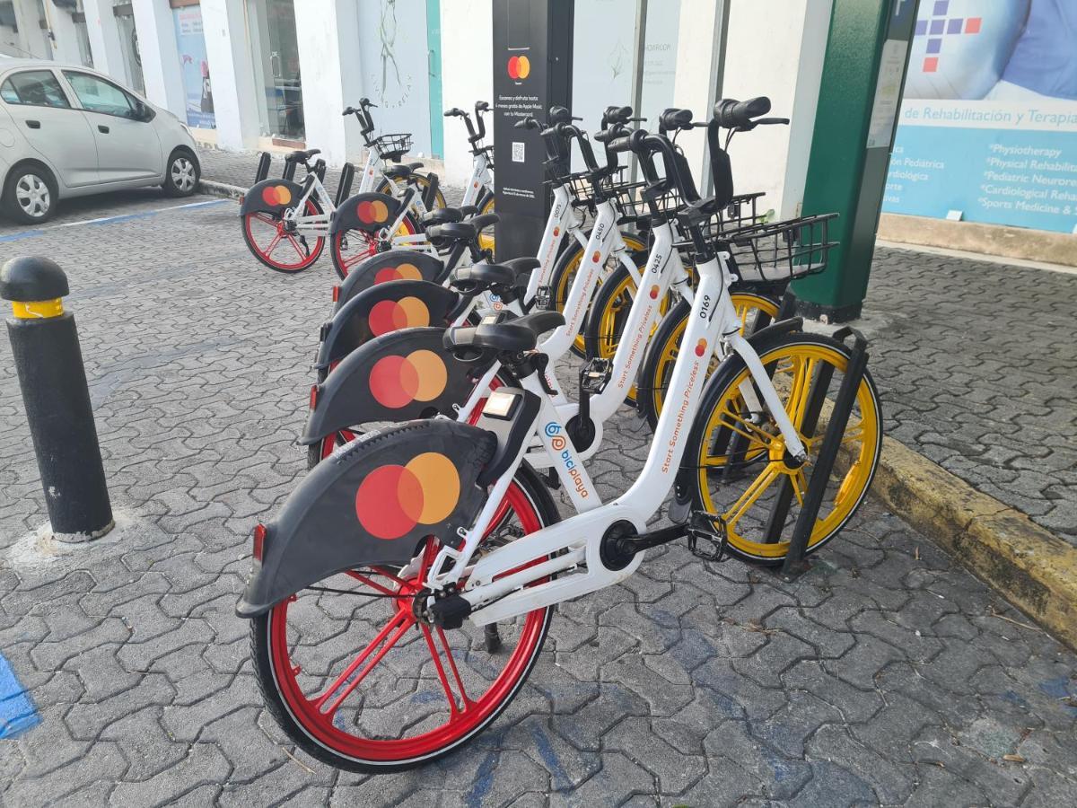 Ubicacion Inmejorable A Pasos De Playacar Y 5ta Av Apartment