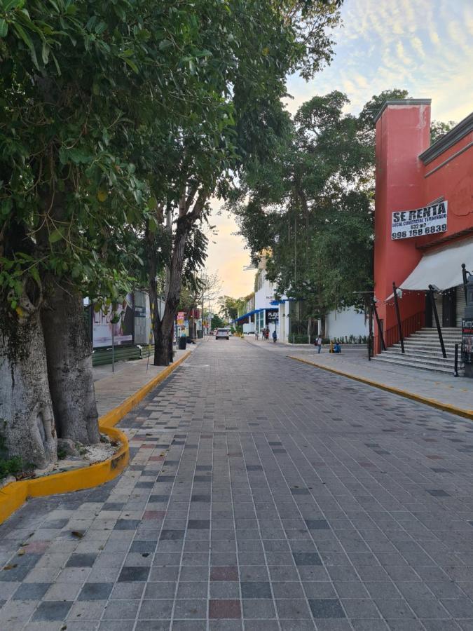 Ubicacion Inmejorable A Pasos De Playacar Y 5ta Av * Playa del Carmen