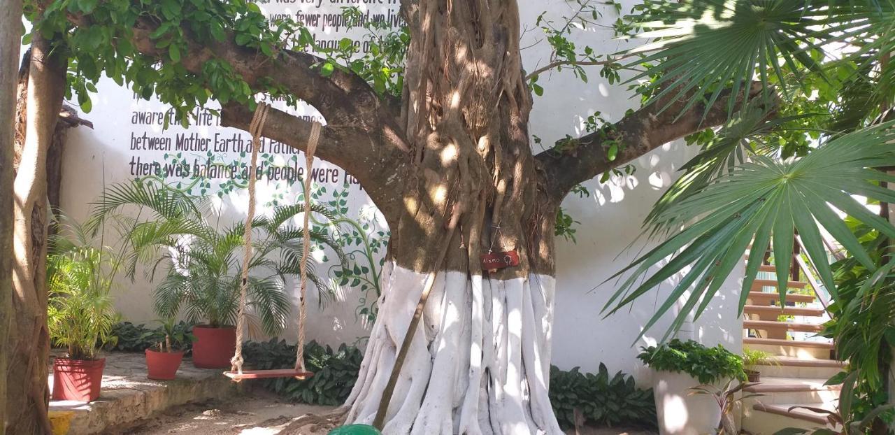Sian Kaan Hotel