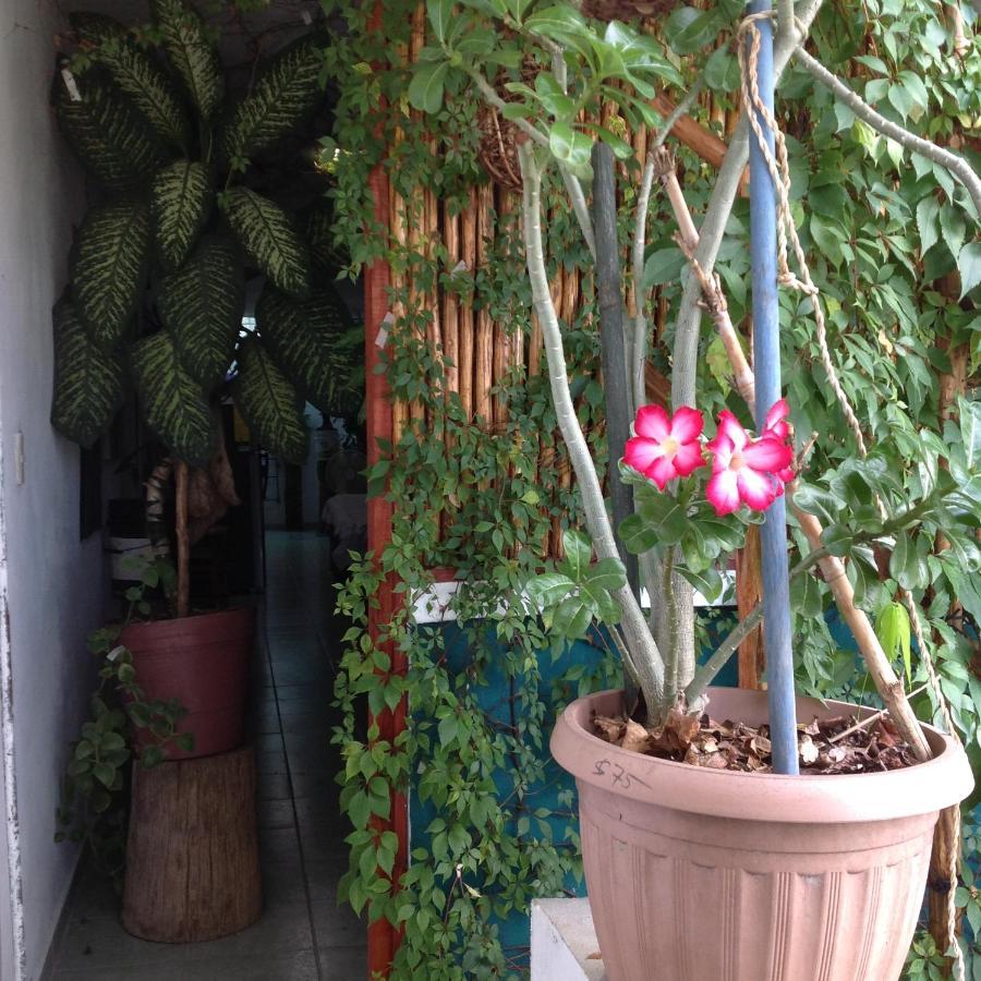 Ya'ax Nah Homestay