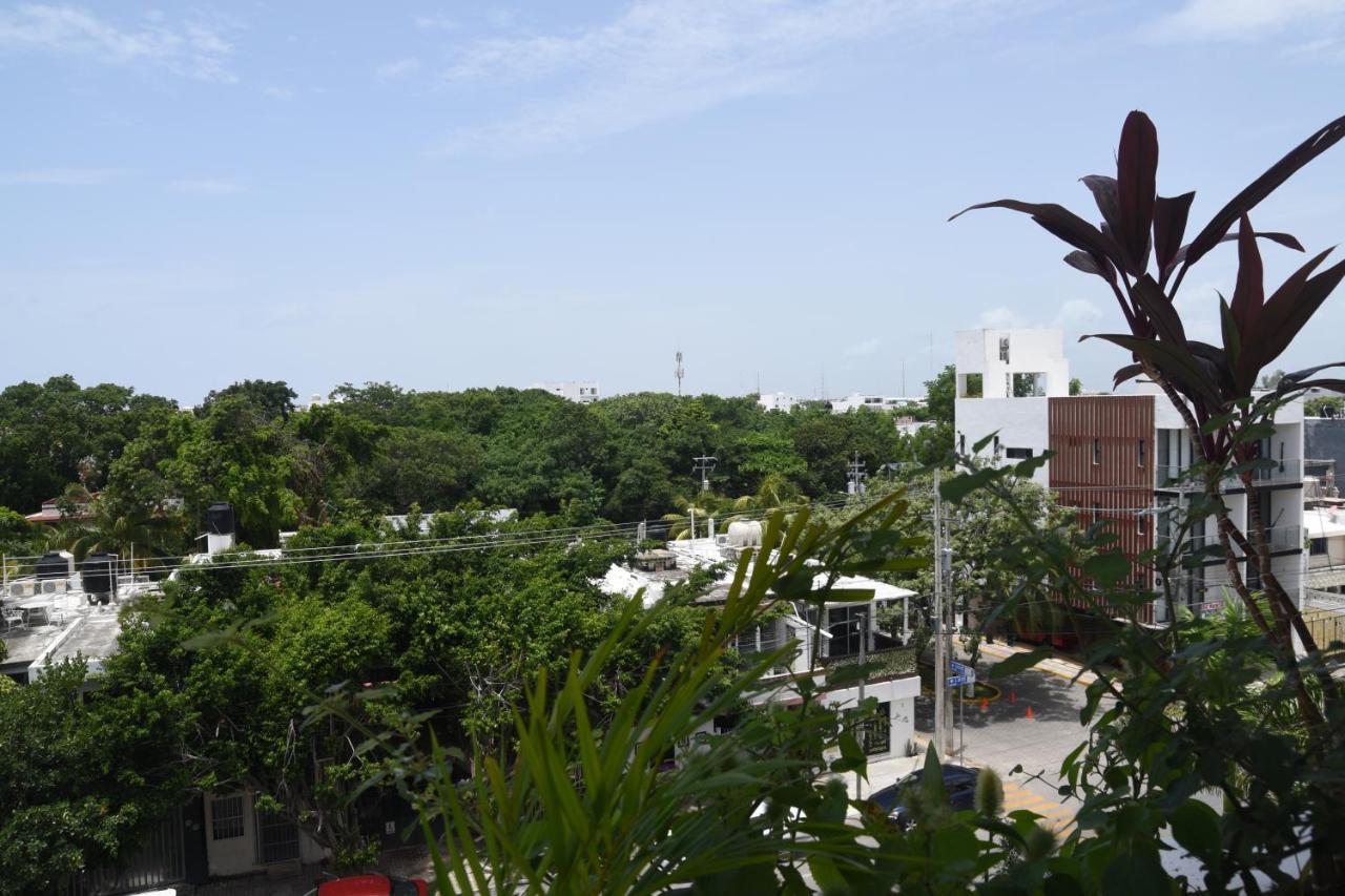 Calle 38 *