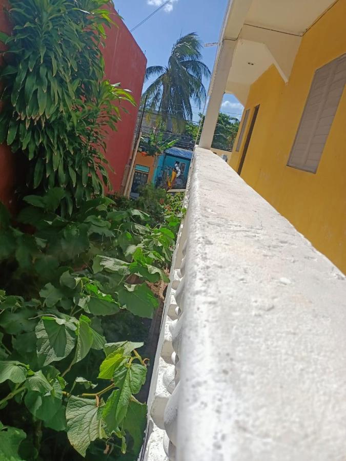 Tucán Căn hộ Playa del Carmen