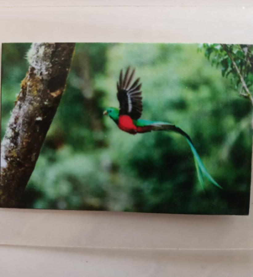 Quetzal * Playa del Carmen