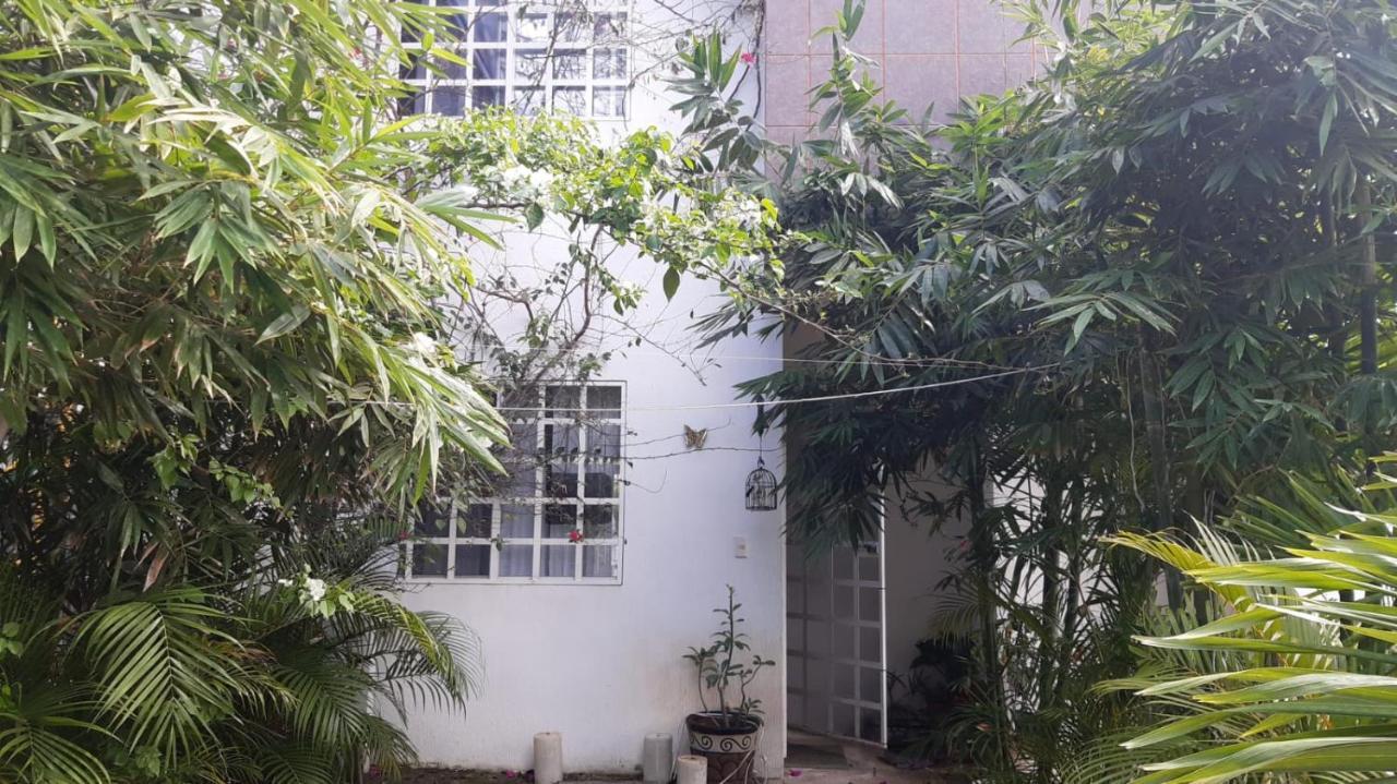 Renta En Casa Particular Homestay Playa del Carmen