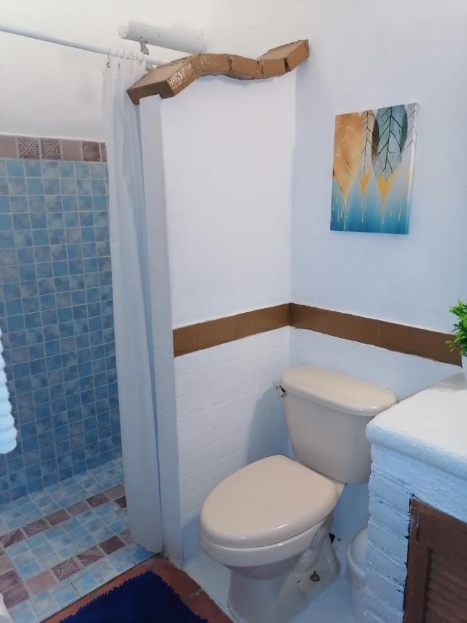 Apartment 24 *