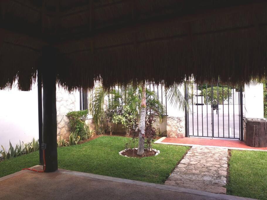 Apartamento Hermoso Departamento Totalmente Equipado Playa del Carmen