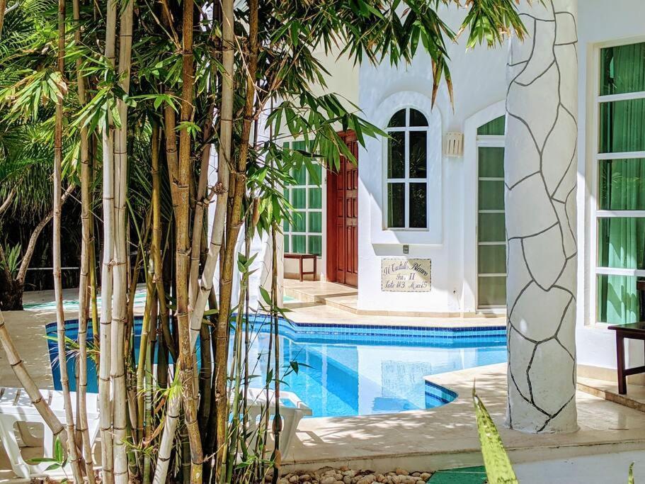 Nhà nghỉ 9br 6ba Large Groups! Location In Town Walk To Beach, 5th Ave Cozumel Ferry, Shopping, Nightlife! Roof Plunge Pool!! Castillo Playacar Fase 1 25max Playa del Carmen