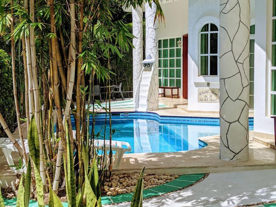 9br 6ba Large Groups! Location In Town Walk To Beach, 5th Ave Cozumel Ferry, Shopping, Nightlife! Roof Plunge Pool!! Castillo Playacar Fase 1 25max *