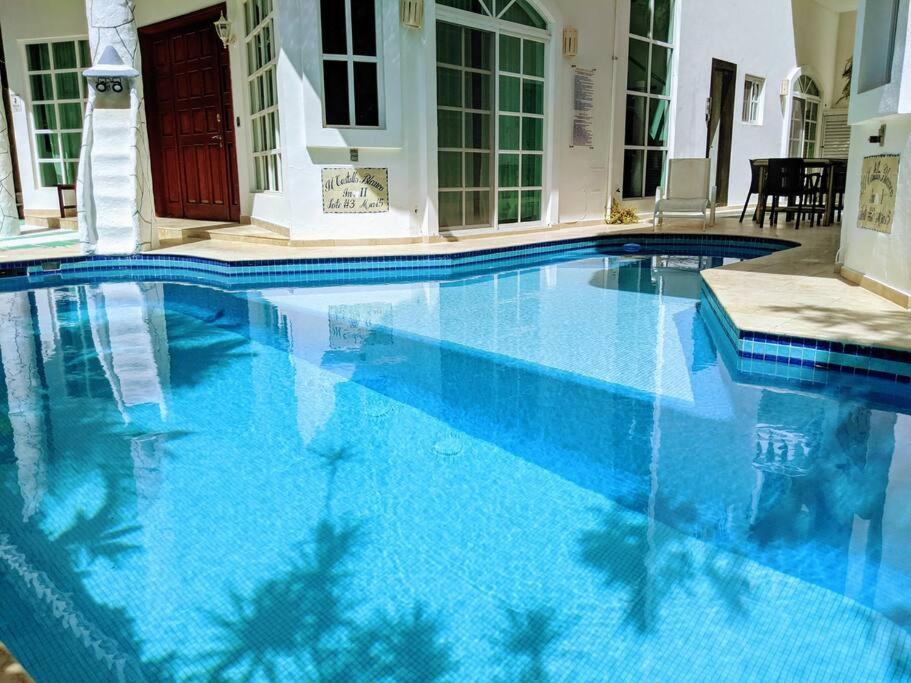 Nhà nghỉ 9br 6ba Large Groups! Location In Town Walk To Beach, 5th Ave Cozumel Ferry, Shopping, Nightlife! Roof Plunge Pool!! Castillo Playacar Fase 1 25max Playa del Carmen