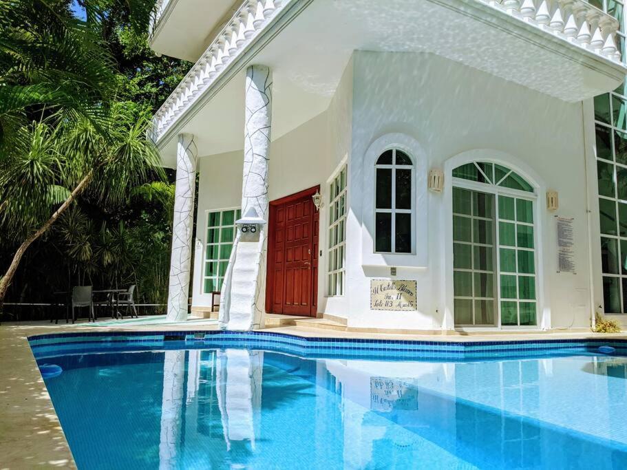 9br 6ba Large Groups! Location In Town Walk To Beach, 5th Ave Cozumel Ferry, Shopping, Nightlife! Roof Plunge Pool!! Castillo Playacar Fase 1 25max Nhà nghỉ