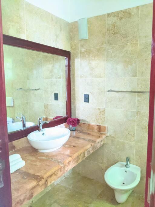9br 6ba Large Groups! Location In Town Walk To Beach, 5th Ave Cozumel Ferry, Shopping, Nightlife! Roof Plunge Pool!! Castillo Playacar Fase 1 25max Nhà nghỉ Playa del Carmen