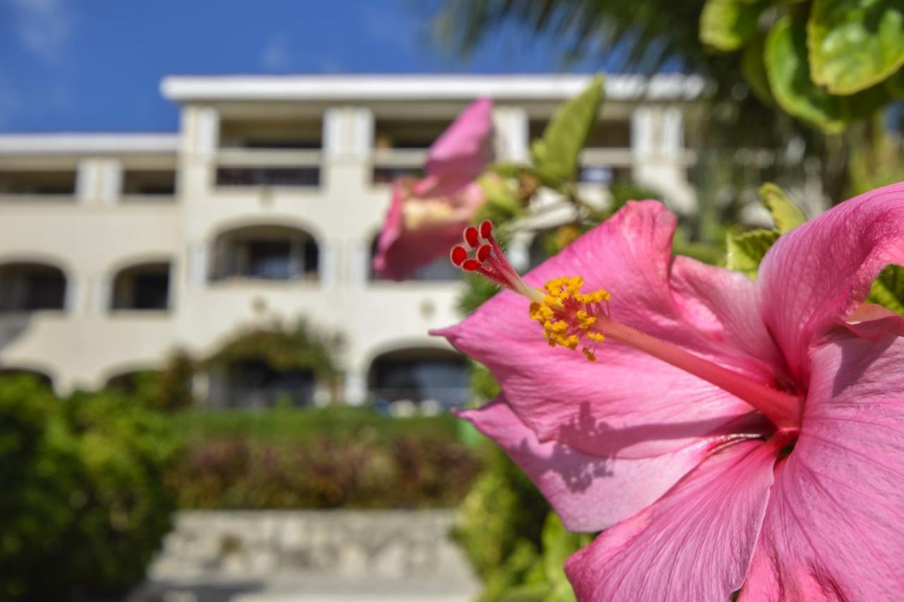 Our Popular 1 Bedr Oceanfront At Xaman Ha Why Xh7116 Apartamento *