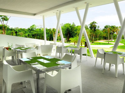Pure Riviera Maya 5* Playa del Carmen