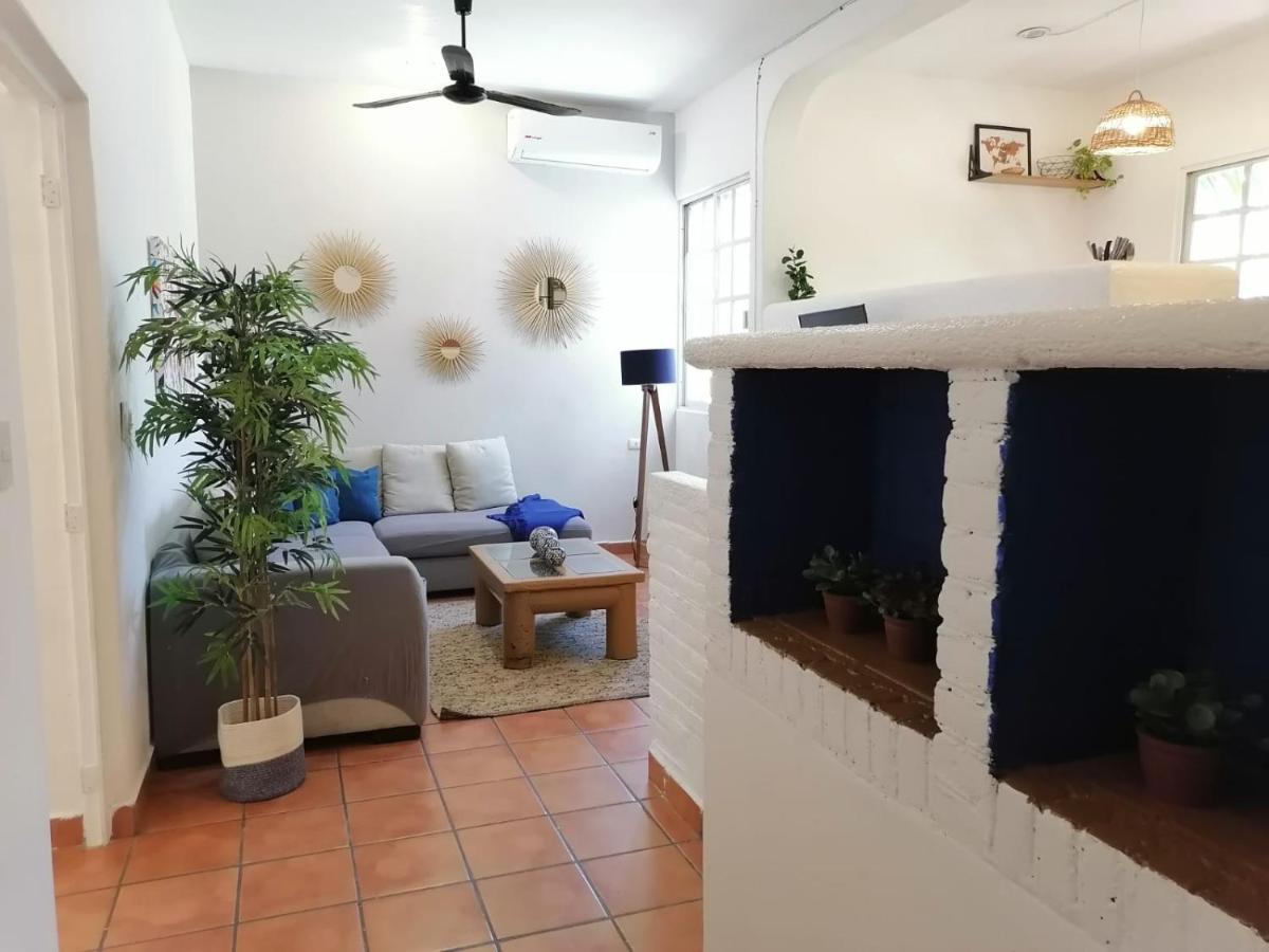 Apartment 24 *