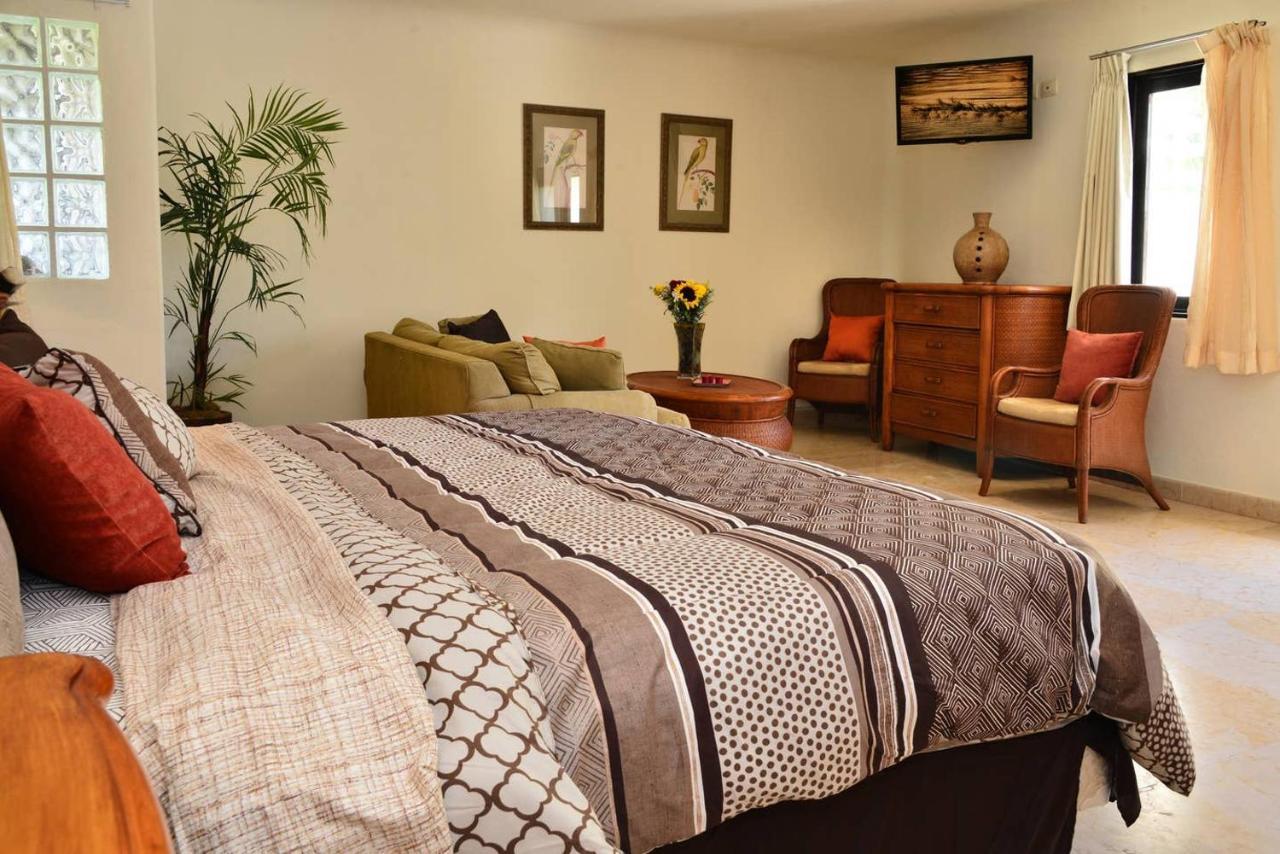 Blue Palms Suites, Pool Onsite, Steps To The & 5th Ave * Playa del Carmen