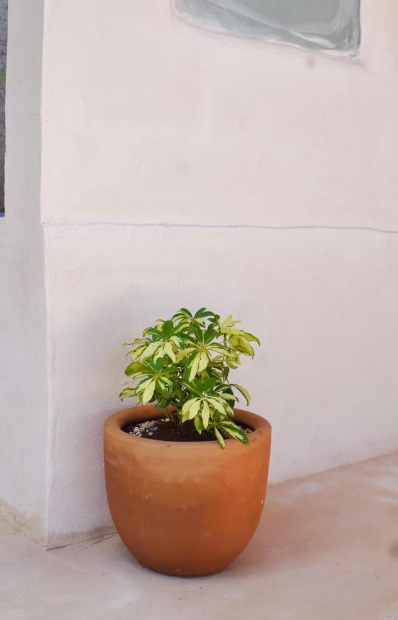 Casa Del Artista -