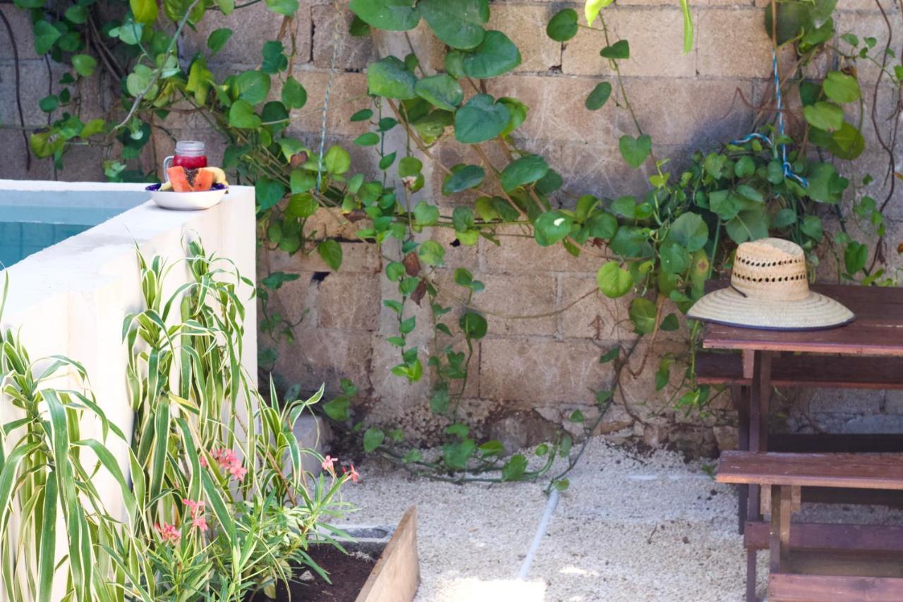 Bed & Breakfast Casa Del Artista -