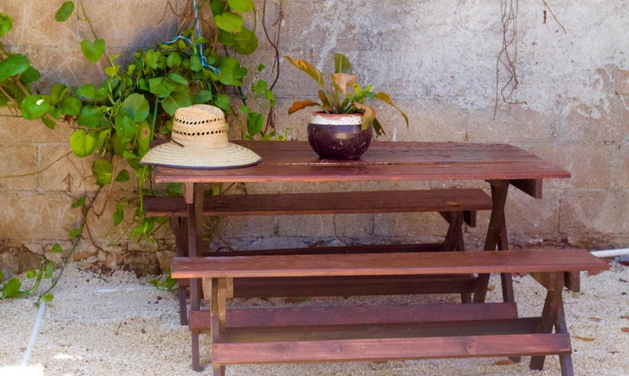 Bed & Breakfast Casa Del Artista - Playa del Carmen