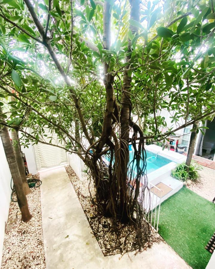 Apartment Cozy And Two Bedrooms Acasadialexplayadelcarmen Playa del Carmen